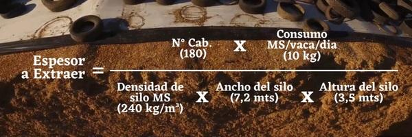 Extracción en silos - Image 1