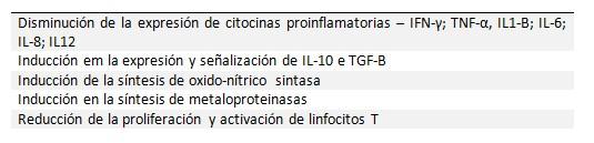 Salud intestinal en la cerda y su impacto en la producción de leche y resultados de la camada - Image 1