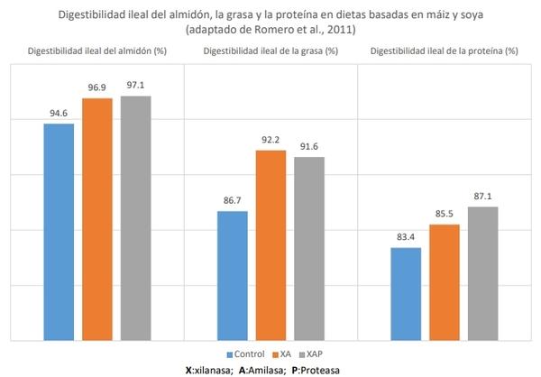 Efecto de las enzimas exógenas sobre la salud e integridad intestinal - Image 1