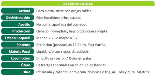 Programa Transitar - Image 6