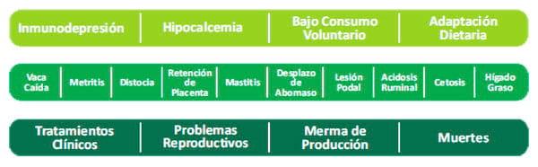 Programa Transitar - Image 1