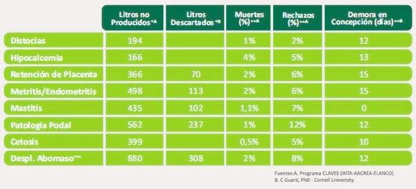 Programa Transitar - Image 2
