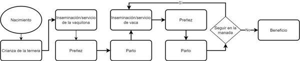 10 Pasos Para Mejorar El Desempeño Reproductivo De Tu Ganado - Image 1