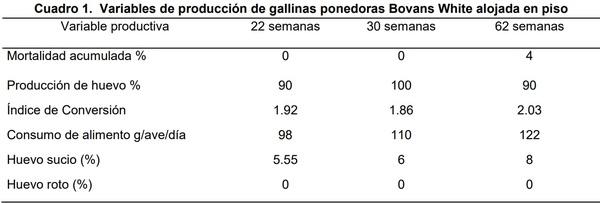 Evaluación del bienestar animal de gallinas ponedoras Bovans White alojadas en piso - Image 1