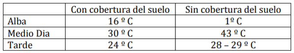 resumen del video