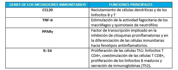 Tratamiento natural y efectivo para los desafíos infecciosos de las aves - Image 4
