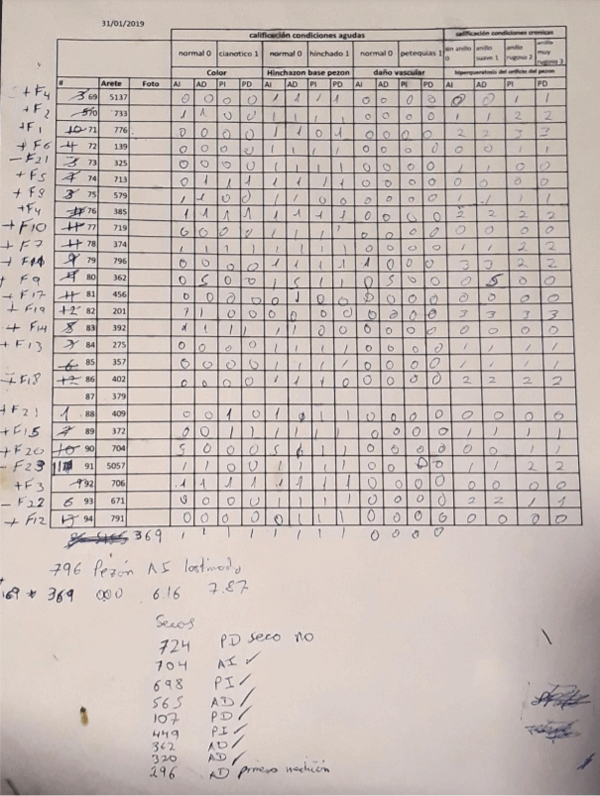 Anexo 7.- Registro de evaluación de los pezones