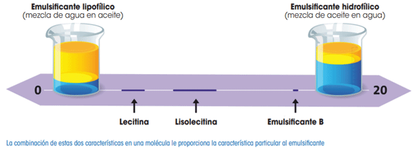Figura 1. El equilibrio hidrofílico -lipofílico va de 0 a 20