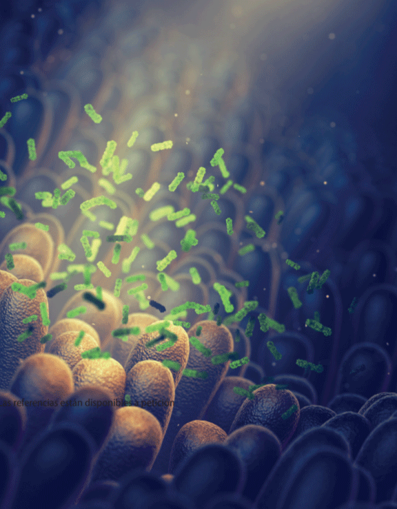 “Sin antibióticos” se traduce en una mayor necesidad de emulsificación - Image 2