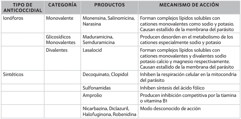 ¿Cómo diseñar un buen programa de rotación de anticoccidiales? Aspectos prácticos a tener en cuenta - Image 2