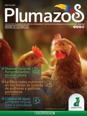 ¿Cómo diseñar un buen programa de rotación de anticoccidiales? Aspectos prácticos a tener en cuenta - Image 1