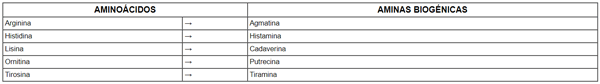 Aminas biogénicas y aminoácidos precursores