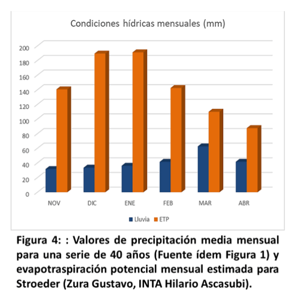 Figura 4