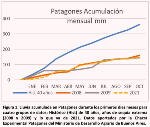 Figura 1