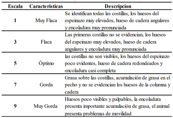 Cuadro 1: Escalas de estado corporal, características y descripción