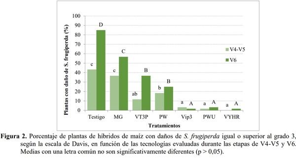EVALUACIÓN DE EVENTOS BIOTECNOLÓGICOS PARA EL CONTROL DE LEPIDÓPTEROS EN HÍBRIDOS DE MAÍZ - Image 3