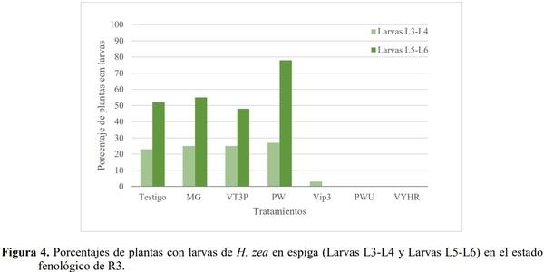 EVALUACIÓN DE EVENTOS BIOTECNOLÓGICOS PARA EL CONTROL DE LEPIDÓPTEROS EN HÍBRIDOS DE MAÍZ - Image 5