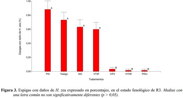 EVALUACIÓN DE EVENTOS BIOTECNOLÓGICOS PARA EL CONTROL DE LEPIDÓPTEROS EN HÍBRIDOS DE MAÍZ - Image 4
