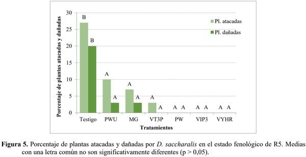 EVALUACIÓN DE EVENTOS BIOTECNOLÓGICOS PARA EL CONTROL DE LEPIDÓPTEROS EN HÍBRIDOS DE MAÍZ - Image 6