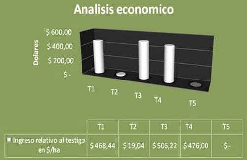 Evaluación del efecto de la activación de genes de resistencia contra patógenos en plantas de soya con concentraciones modificadas de ácidos jasmonico a partir de biofermentados de Jatropha Curcas (piñón) y Ricinos communis (higuerilla) - Image 6