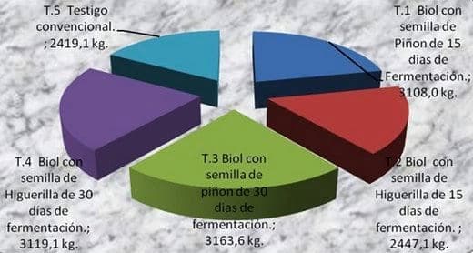 Evaluación del efecto de la activación de genes de resistencia contra patógenos en plantas de soya con concentraciones modificadas de ácidos jasmonico a partir de biofermentados de Jatropha Curcas (piñón) y Ricinos communis (higuerilla) - Image 3