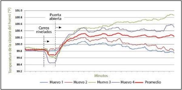 Incubación con mediciones manuales de la temperatura de la cáscara del huevo - Image 4