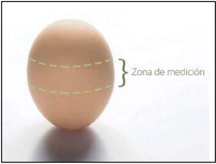 Incubación con mediciones manuales de la temperatura de la cáscara del huevo - Image 3