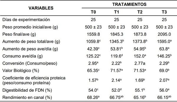 Pollos de engorde alimentados con harina de cayeno (Hibiscus rosasinensis) - Image 7