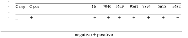 Delvotest día 2 de 3 durante tratamiento