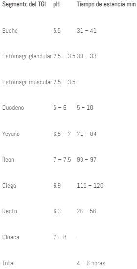Disponibilidad de nutrientes de la dieta en pollos - Image 2