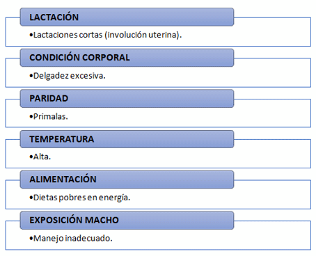Cuadro 2. Factores que influyen y aumentan el IDC.