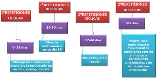 Manejo de reproductoras: Reproducción (Parte 2) - Image 3