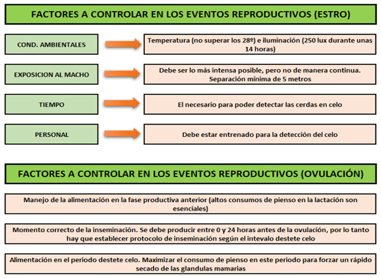  Cuadro 1. Factores que influyen en el estro y la ovulación.