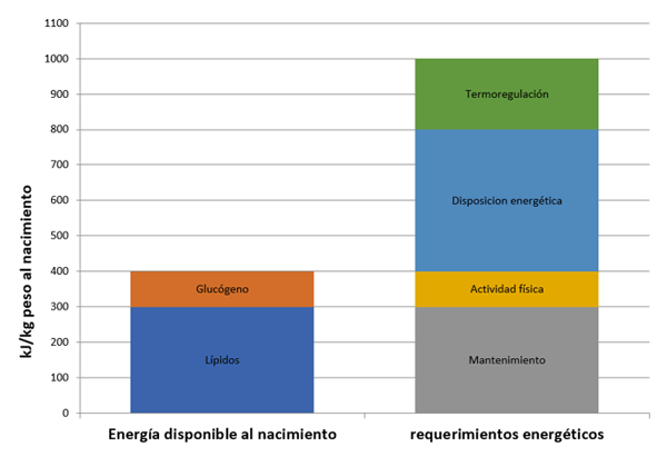 Gráfica 2: Importancia de calostro como fuente de energía tras el nacimiento.