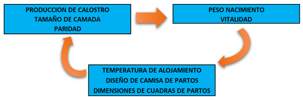 Cuadro 1: Interacción de diferentes causas de la mortalidad perinatal.