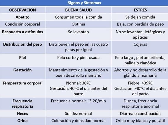 Manejo de Reproductoras: Manejo del lechón (Parte 4) - Image 1
