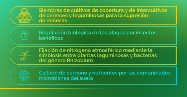 La coexistencia de los sistemas de producción bajo buenas prácticas - Image 2
