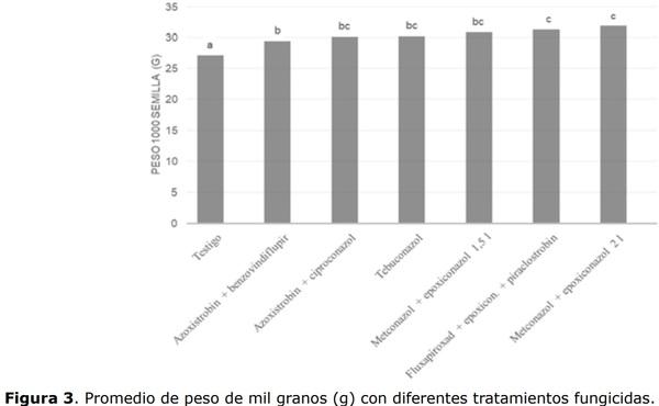Control químico de Fusariosis de la espiga del trigo y su efecto sobre los componentes de producción y calidad de granos - Image 6