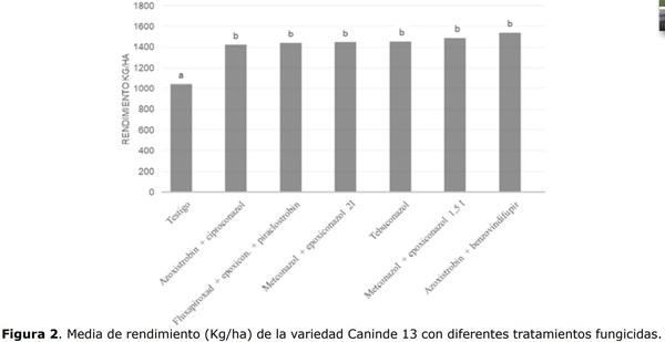 Control químico de Fusariosis de la espiga del trigo y su efecto sobre los componentes de producción y calidad de granos - Image 5