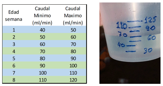 Se recomienda siempre ajustar todas las semanas el caudal de agua para edad de los pollos.