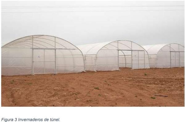 Instalaciones agrícolas - Image 3