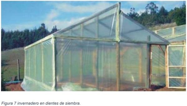 Instalaciones agrícolas - Image 7