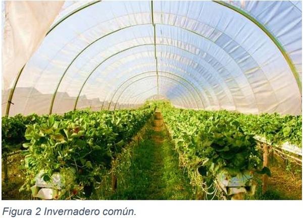 Instalaciones agrícolas - Image 2