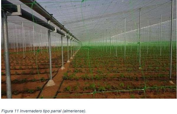 Instalaciones agrícolas - Image 11