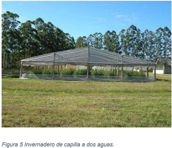 Instalaciones agrícolas - Image 5