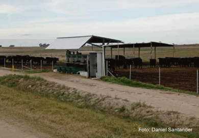 Figura 3 - Corrales de encierro donde se realizó el experimento, ubicado en Unidad de Lago, INIA La Estanzuela.