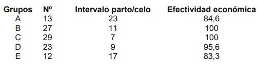 Valoración de condición corporal e influencia sobre Indicadores reproductivos en cerdas - Image 2