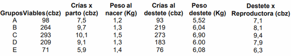 Valoración de condición corporal e influencia sobre Indicadores reproductivos en cerdas - Image 3