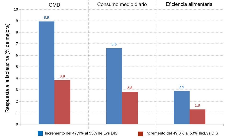 Dietas bajas en proteína y necesidades de isoleucina en lechones - Image 3
