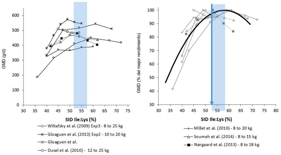 Dietas bajas en proteína y necesidades de isoleucina en lechones - Image 1